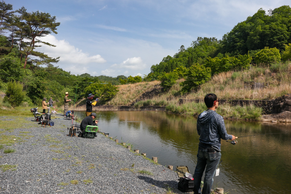 本日の新着情報_b0365177_09103885.jpg