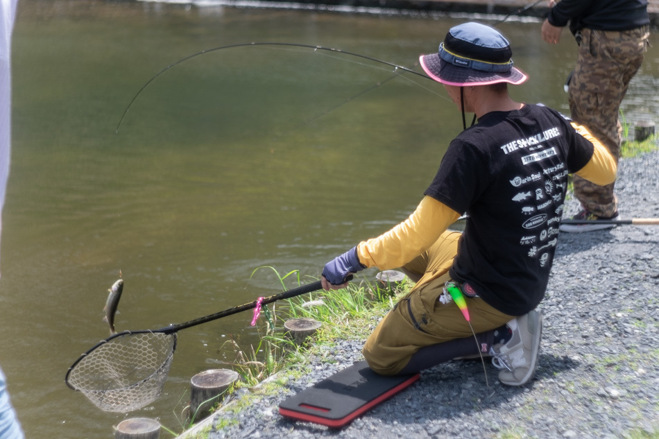 本日の新着情報_b0365177_07091968.jpg