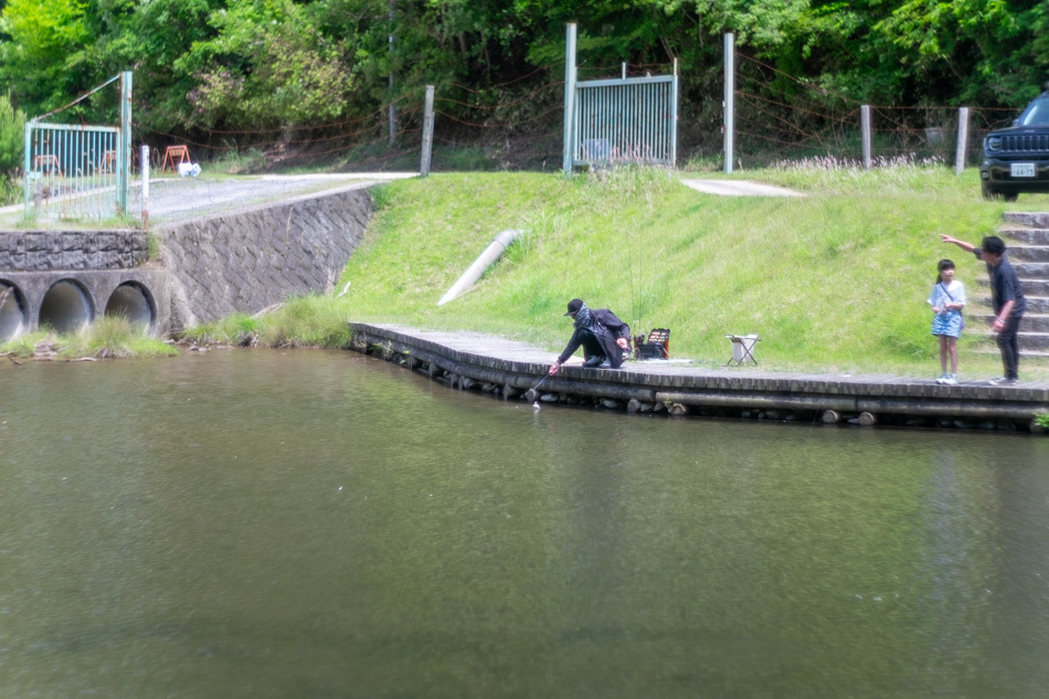 本日の新着情報_b0365177_07095978.jpg