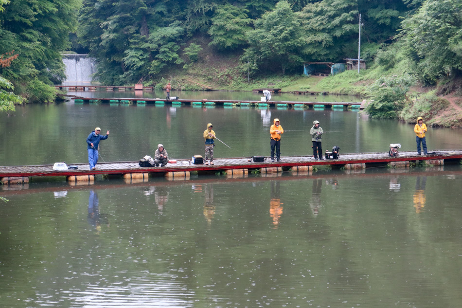 本日の新着情報_b0365177_08532921.jpg