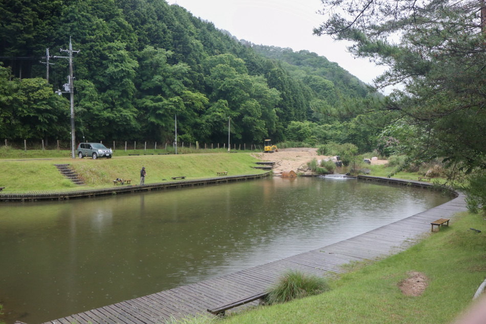 本日の新着情報_b0365177_08532974.jpg
